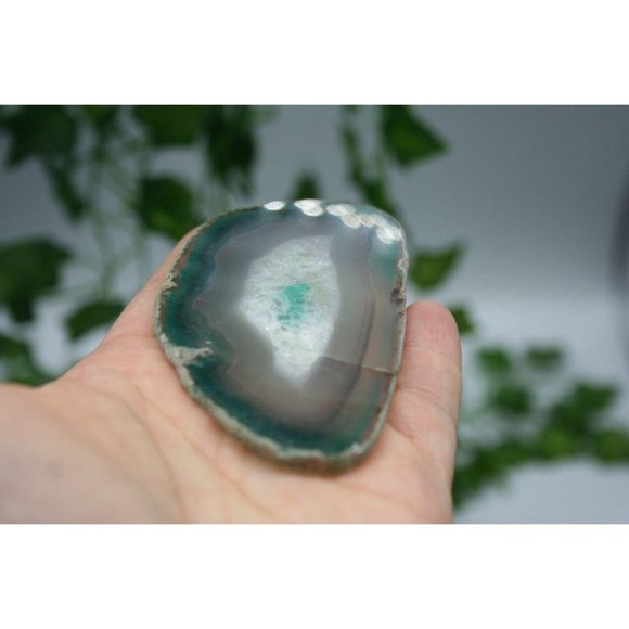 Other - Agate Slice | Assorted Colors Polished Slabs